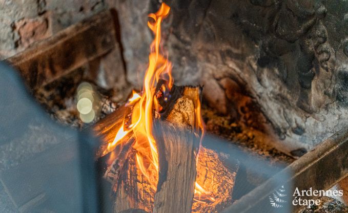 Wunderschnes Luxusschloss in Gedinne, Ardennen