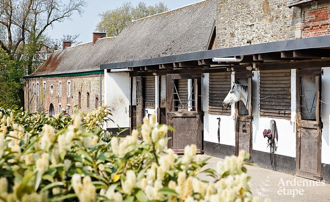 Schlossnebengeb�ude Gembloux 18 Pers. Wellness