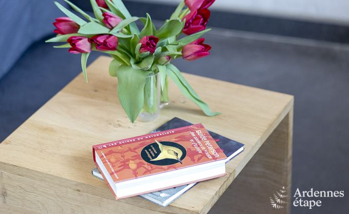 Ferienhaus Gesves 2 Pers. Ardennen