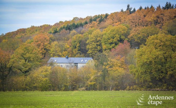 Ferienhaus Gesves 18 Pers. Ardennen Wellness