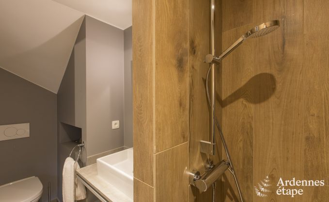 Ferienhaus Gesves 18 Pers. Ardennen Wellness