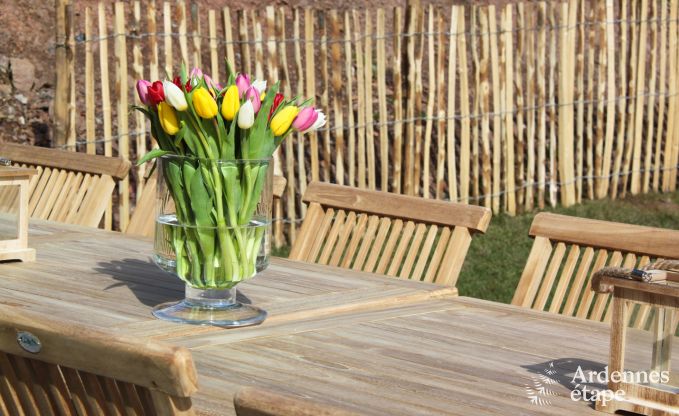 Ferienhaus Gesves 18 Pers. Ardennen Wellness