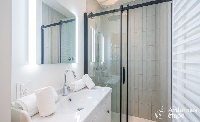 Ferienhaus Gesves 6/12 Pers. Ardennen Wellness