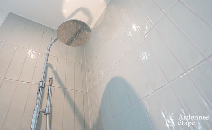 Ferienhaus Gesves 6/12 Pers. Ardennen Wellness