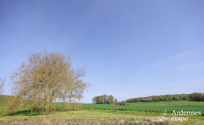 Ferienhaus Gesves 6/8 Pers. Ardennen Wellness