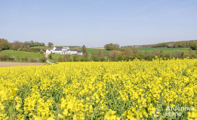 Ferienhaus Gesves 6/8 Pers. Ardennen Wellness