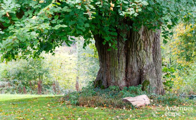 Ferienhaus Gesves 8/9 Pers. Ardennen Schwimmbad