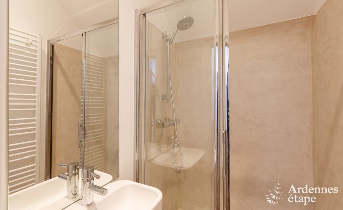 Ferienhaus Gesves 8/9 Pers. Ardennen Schwimmbad