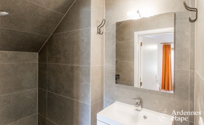 Ferienhaus Gesves 15 Pers. Ardennen Schwimmbad