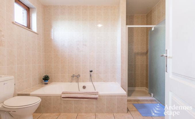 Ferienhaus Gesves 15 Pers. Ardennen Schwimmbad