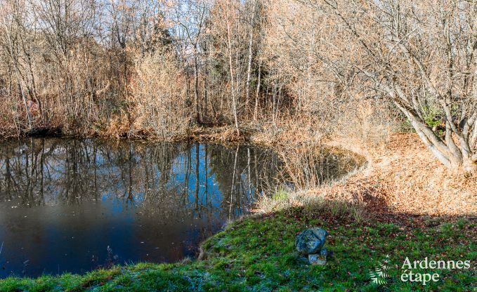 Ferienhaus Gesves 15 Pers. Ardennen Schwimmbad