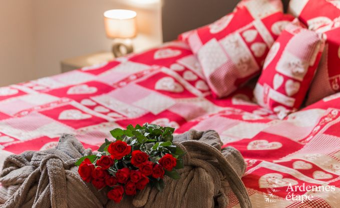 Ferienhaus Gesves 15 Pers. Ardennen Schwimmbad