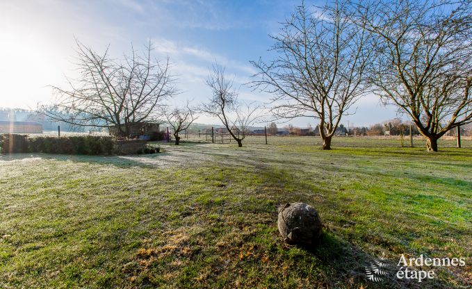 Ferienhaus Gesves 15 Pers. Ardennen Schwimmbad