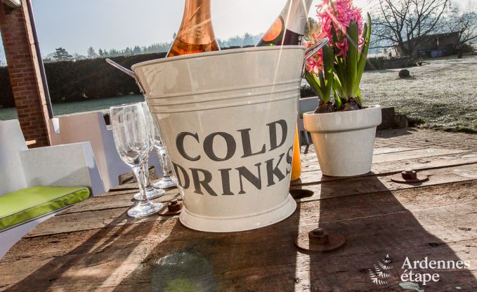 Ferienhaus Gesves 15 Pers. Ardennen Schwimmbad