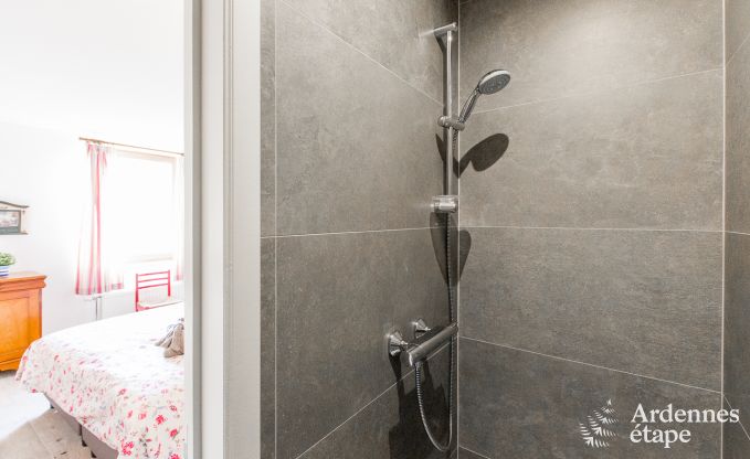 Ferienhaus Gesves 15 Pers. Ardennen Schwimmbad