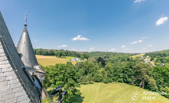 Schloss Gesves 40 Pers. Ardennen Wellness