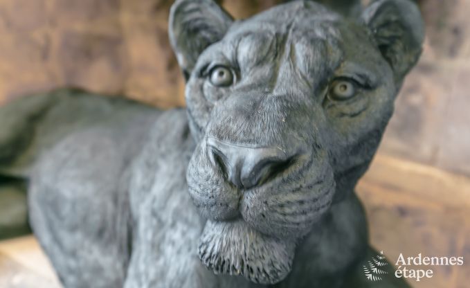 Schloss Gesves 40 Pers. Ardennen Wellness