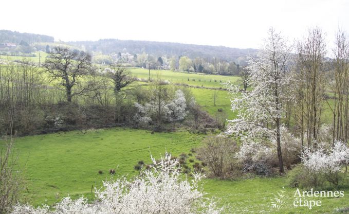 Ferienhaus Gesves 18 Pers. Ardennen Wellness