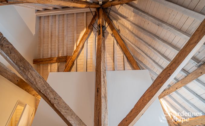 Ferienhaus Gesves 6/12 Pers. Ardennen Wellness