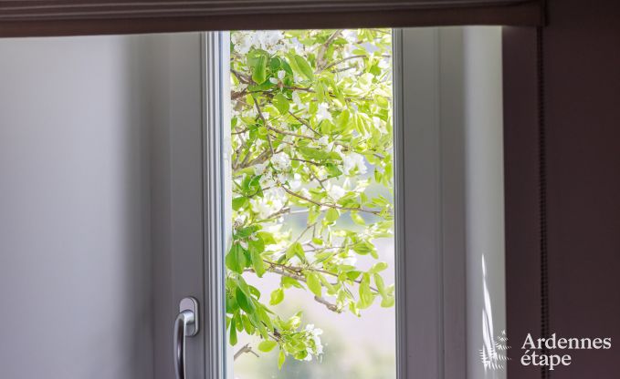 Ferienhaus Gesves 6/8 Pers. Ardennen Wellness