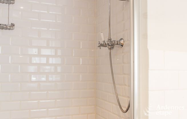 Luxusvilla Gesves 13/14 Pers. Ardennen Schwimmbad Wellness