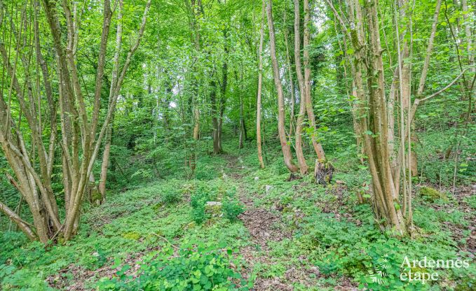 Luxuri�ses Herrenhaus in Gesves, Belgische Ardennen