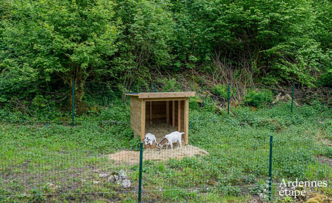 Luxuri�ses Herrenhaus in Gesves, Belgische Ardennen