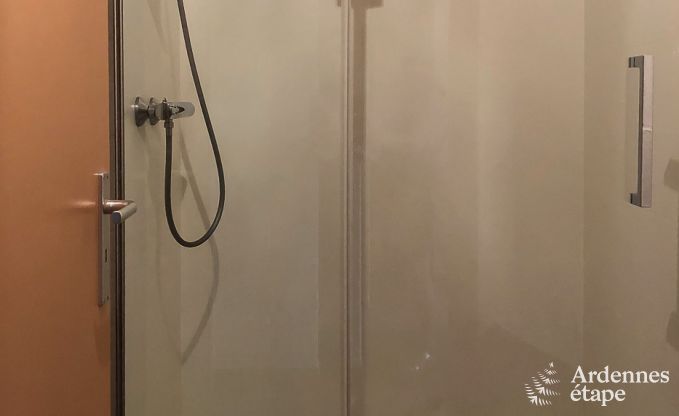 Ferienhaus Gouvy 12 Pers. Ardennen