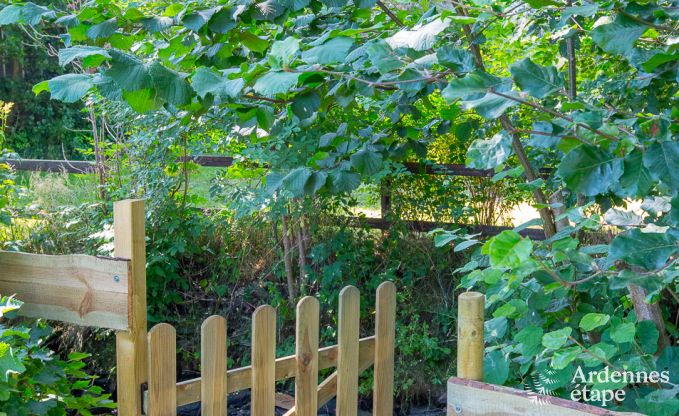 Gem�tliches und ger�umiges Ferienhaus in Gouvy, Ardennen