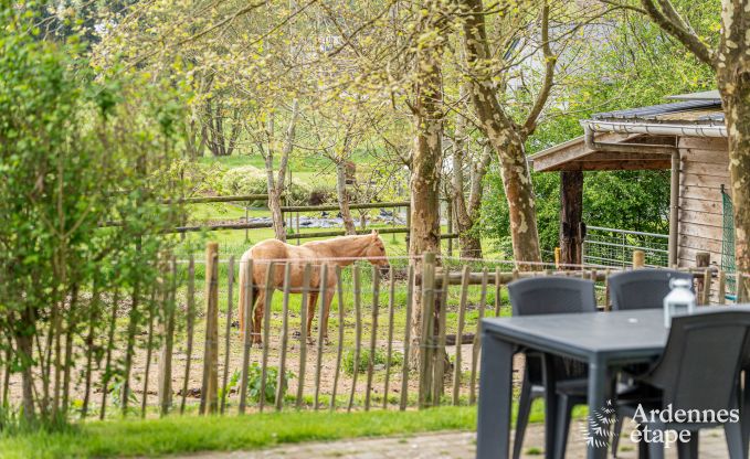 Ferienhaus Gouvy 9 Pers. Ardennen Wellness