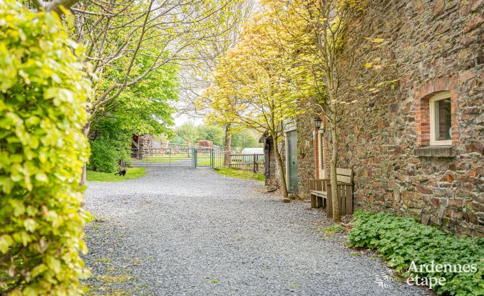 Ferienhaus Gouvy 9 Pers. Ardennen Wellness