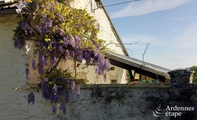 Ferienhaus Gouvy 9 Pers. Ardennen Wellness