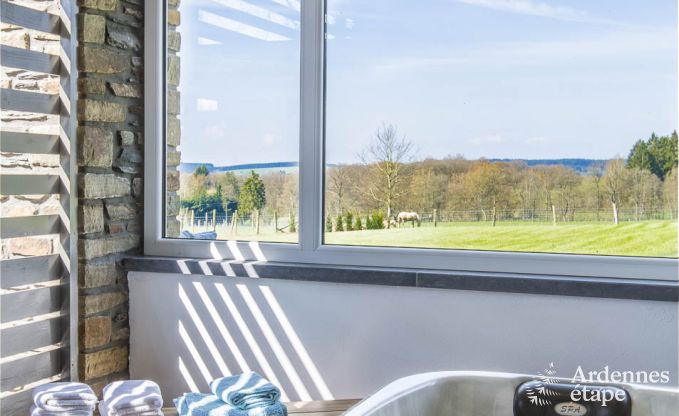 Ferienhaus Gouvy 9 Pers. Ardennen Wellness