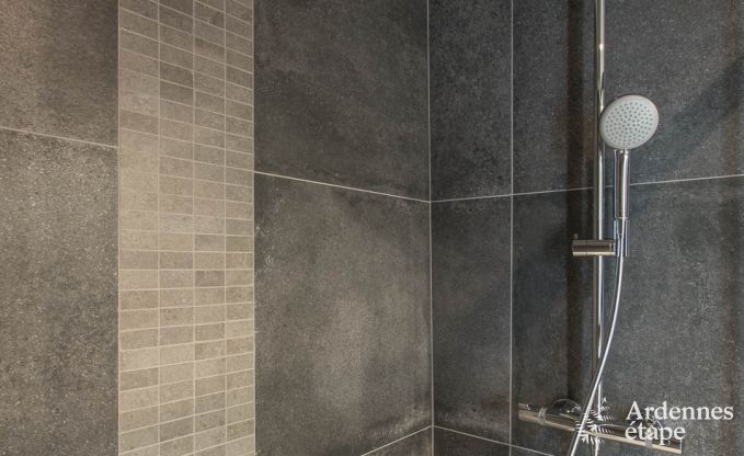 Ferienhaus Gouvy 9 Pers. Ardennen Wellness