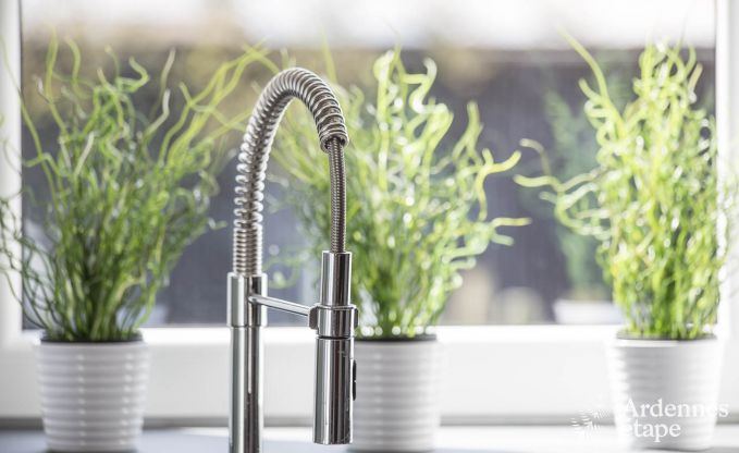 Ferienhaus Gouvy 9 Pers. Ardennen Wellness