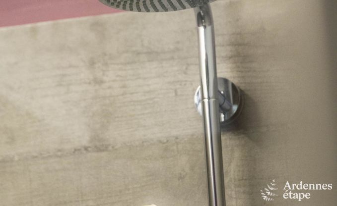 Ferienhaus Gouvy 9 Pers. Ardennen Wellness