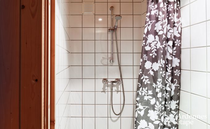 Ferienhaus Gouvy 9 Pers. Ardennen Wellness