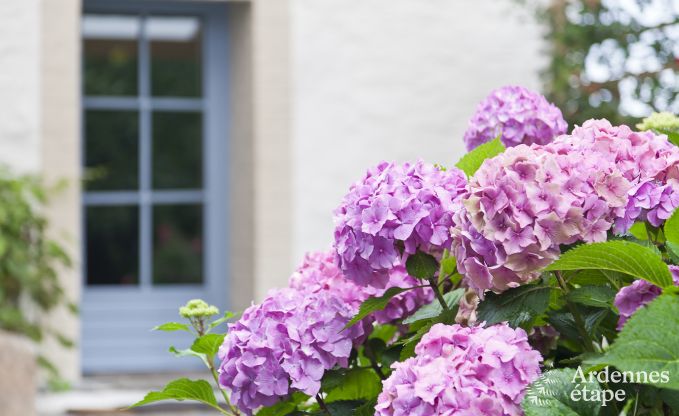 Ferienhaus Gouvy 9 Pers. Ardennen Wellness