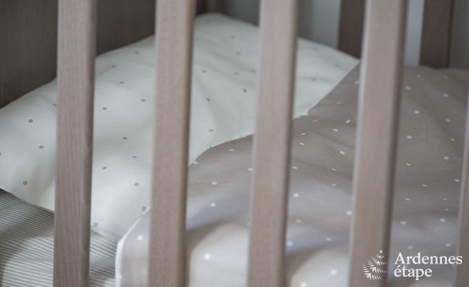 Ferienhaus Gouvy 9 Pers. Ardennen Wellness