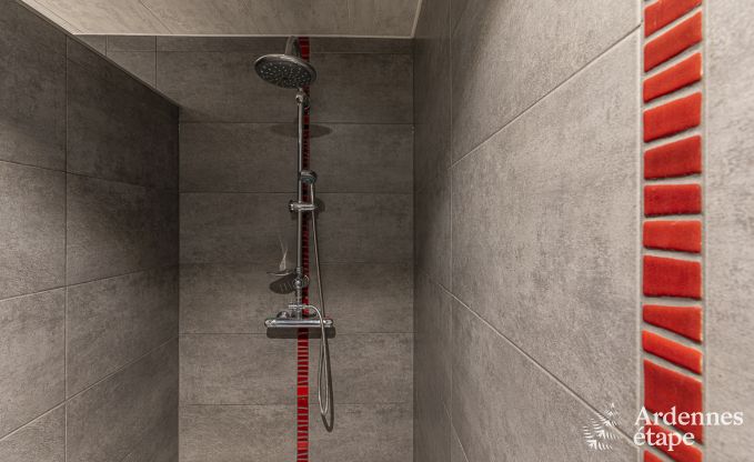 Ferienhaus f�r 8/9 Personen in der N�he von Bouillon