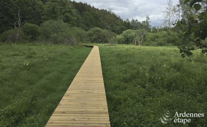Ferienhaus Habay 12 Pers. Ardennen Behinderten gerecht