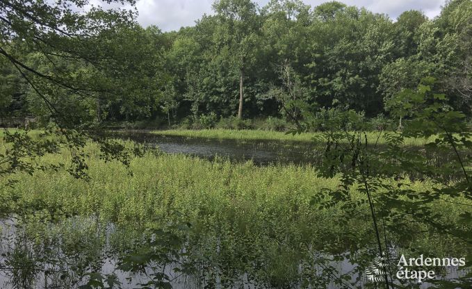 Ferienhaus Habay 12 Pers. Ardennen Behinderten gerecht