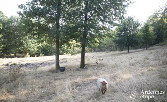 Ferienhaus Habay 12 Pers. Ardennen Behinderten gerecht