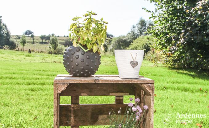 Ferienhaus Habay 9 Pers. Ardennen Schwimmbad