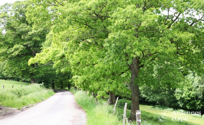 Ferienhaus Hamoir 11 Pers. Ardennen