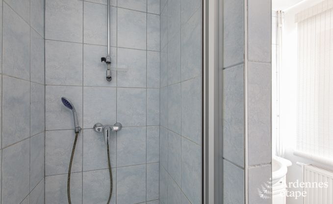 Ferienhaus Hamoir 11 Pers. Ardennen