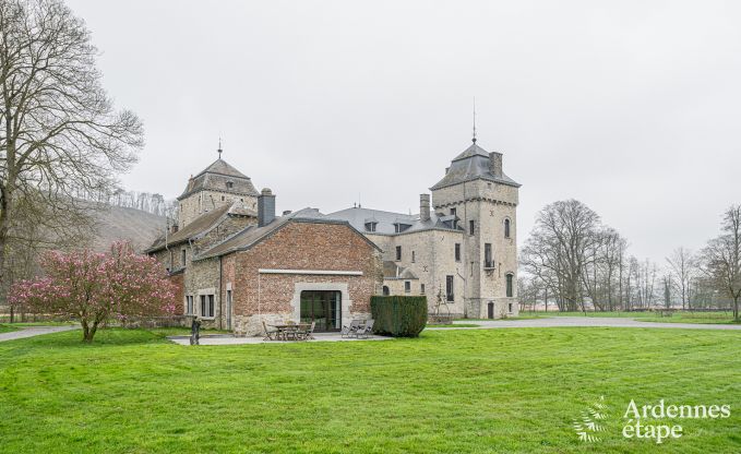 Abhngigkeit von komfortablem und charaktervollem Schloss fr 7 Personen in Hamoir