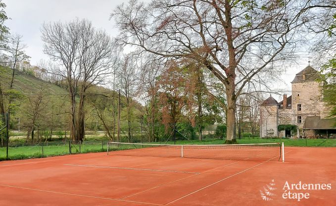 Abh�ngigkeit von komfortablem und charaktervollem Schloss f�r 7 Personen in Hamoir