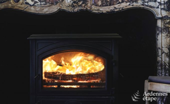 Schloss Hamoir 8/9 Pers. Ardennen