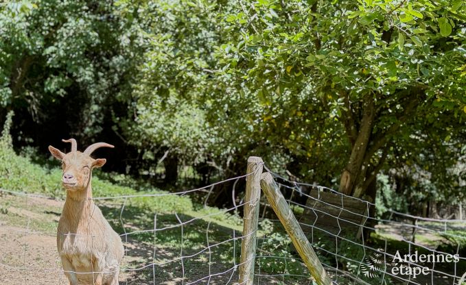 Ger�umiges Ferienhaus f�r 14 Personen mit 5 Schlafzimmern, 4 Badezimmern und gro�em Privatgarten in Hamoir, Ardennen